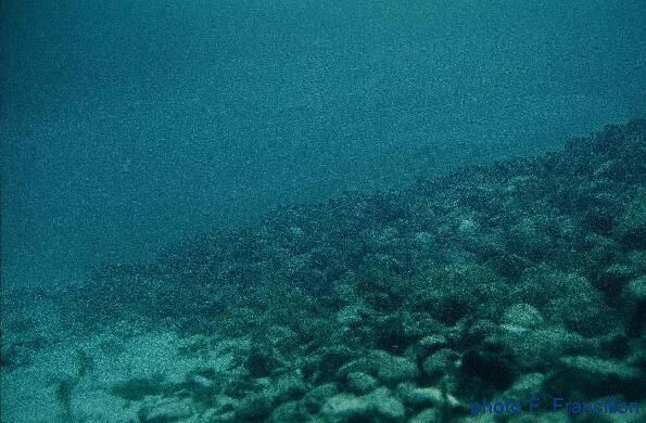 t�nevi�re pilotis palafitte amas de cailloux arch�ologie subaquatique