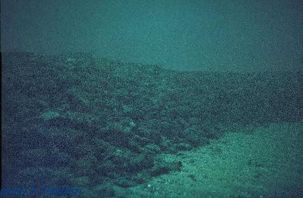 t�nevi�re pilotis palafitte amas de cailloux arch�ologie subaquatique